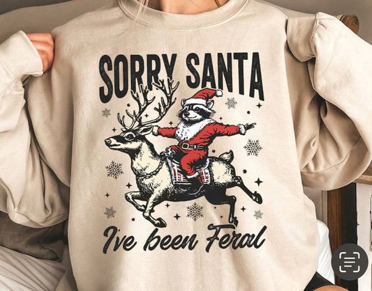 Dear Santa